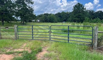 TBD County Road 40, Abbeville, AL 36310