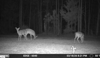 Highway 28, Abbeville, SC 29620