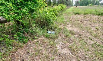 618 CR 2619, Alto, TX 75925