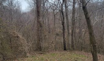Branch Rd, Big Sandy, TN 38221