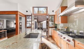 602 W Hallam St, Aspen, CO 81611