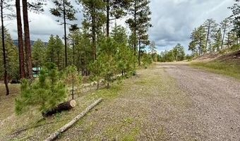7 Eric Ln, Alpine, AZ 85920