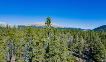 235 WILLOW Ln, Alma, CO 80440