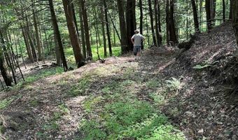 360 Ives Hill Rd, Afton, NY 13730