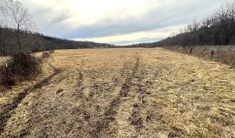 178 Acres Bug Scuffle Ln, Anderson, MO 64831