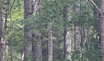 Piney Mountain Rd, Appomattox, VA 24522