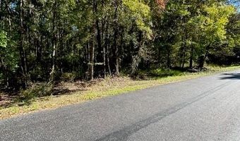 19611 NW 75TH St, Alachua, FL 32615