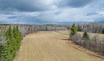 11448 Hwy 22, Angora, MN 55703