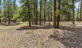 841 Beaver Creek Dr, Bayfield, CO 81122