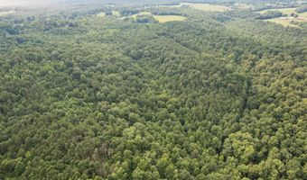 COUNTY ROAD 22, Arley, AL 35541