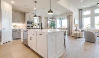 808 Twin Pine Ct, Anna, TX 75409