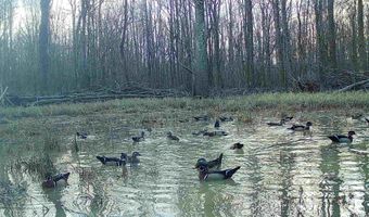 Gun Baoyu Road, Belzoni, MS 39038