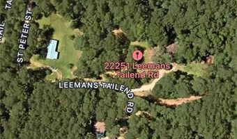 22251 LEEMANS Rd, Abita Springs, LA 70420