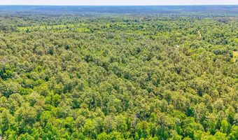 93 Acres Dell Rd, Bainbridge, GA 39819