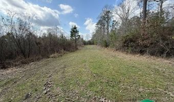 W Factory St, Amite, LA 70422
