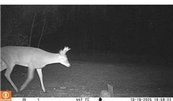 999 Porcupine Trl, Aitkin, MN 56431