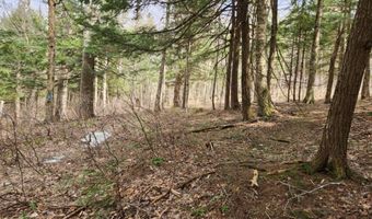 0 Clarks/Woodland Trl 409-4, Alexandria, NH 03220