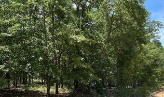 Tbd Watermelon Lane, Barnwell, SC 29812