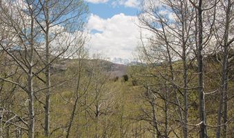 204 Bear Paw D6, Avon, CO 81620