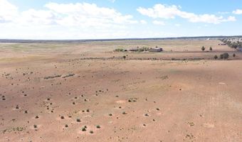 541 S Coyote Rd, Apple Valley, UT 84737