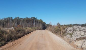 MT. ZION CHURCH RD, Axson, GA 31624