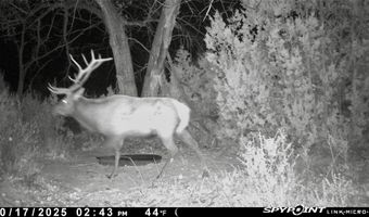 Plaza Blanca Ranch, Abiquiu, NM 87510