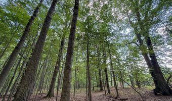 39 Acres N Pingree Rd, Alma, MI 48801