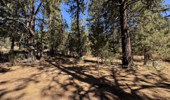 Lot 12 Whitetail Lane, Bonanza, OR 97623