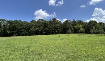 5398 County Road S5-307, Ava, MO 65608