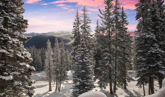 229 Lee Ln, Breckenridge, CO 80424