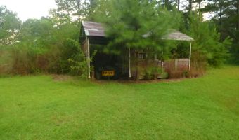 967 SE Bogue Chitto Rd, Bogue Chitto, MS 39629