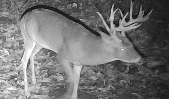 0 Swaim Hill Rd, Batesville, AR 72501
