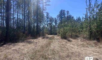 Robinsonville Road, Atmore, AL 36502