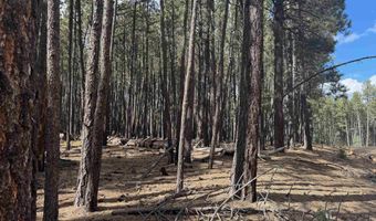 Alamosa Terrace lot 929, Angel Fire, NM 87710