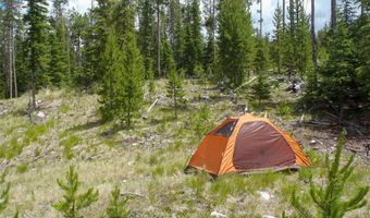 NHN Herring Flats Road, Anaconda, MT 59711