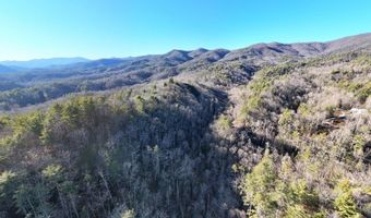 6 83ac Webb Creek Rd, Andrews, NC 28901