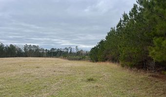 TBD County Road 86, Abbeville, AL 36310