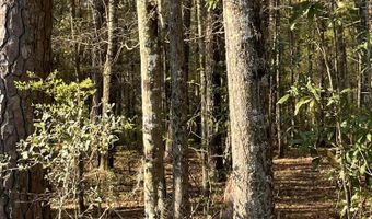 Old Military Road lot # 3, Adams Run, SC 29426