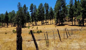 Tbd STONE CREEK RD CR 2117, Alpine, AZ 85920