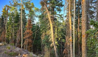N Skyline Terrace CT, Beaver, UT 84713