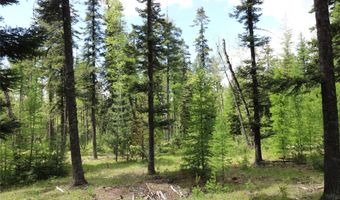 Nhn Black Wolf Trail, Bigfork, MT 59911