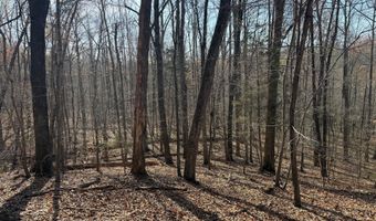 PAYNES POND RD, Arvonia, VA 23004