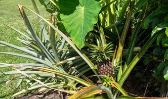 15-1829 26TH Ave, Keaau, HI 96749