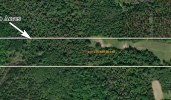10516 Munger Rd, Afton, MI 49705