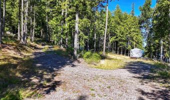 Swan Shores Lane, Bigfork, MT 59911