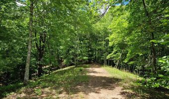 21 Collett Woods Trl Lot #21, Andrews, NC 28901