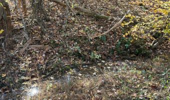 9- A Dulwich Dr, Amherst, VA 24521