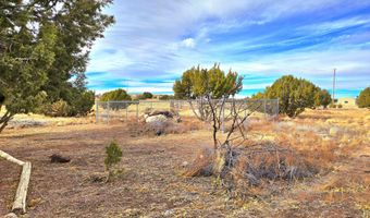 58 CR 5128/Antelope Ave, Concho, AZ 85924