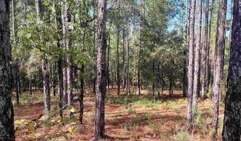 0 State Highway 225, Bay Minette, AL 36507