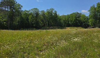 Off HWY 51, Arbor Vitae, WI 54521